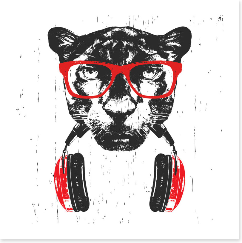 Animals