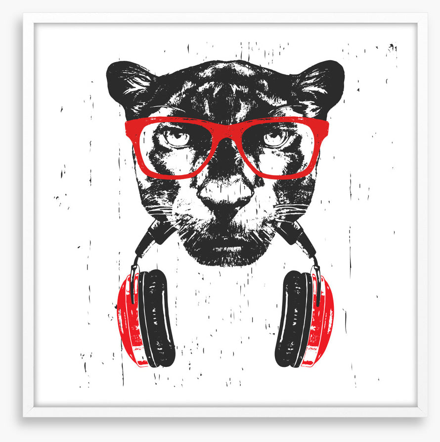 Animals