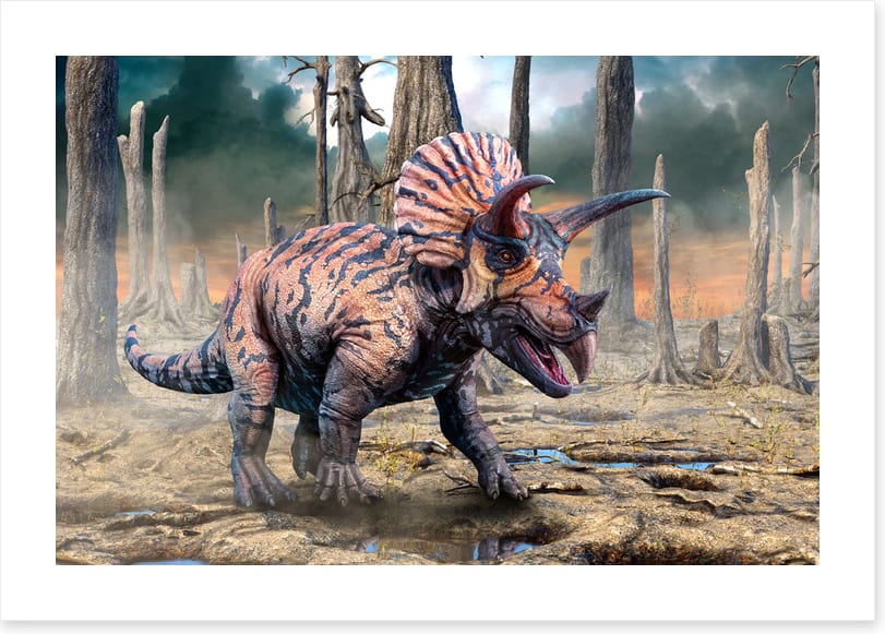 Dinosaurs