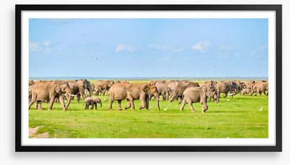 Africa