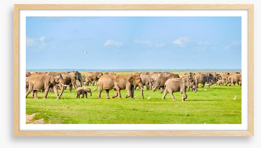 Africa