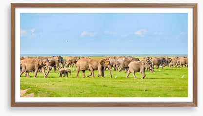 Africa