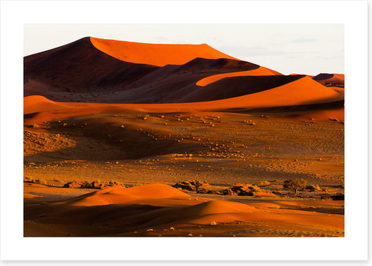 Desert
