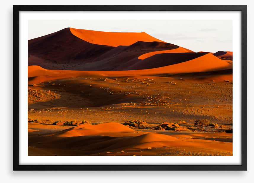Desert