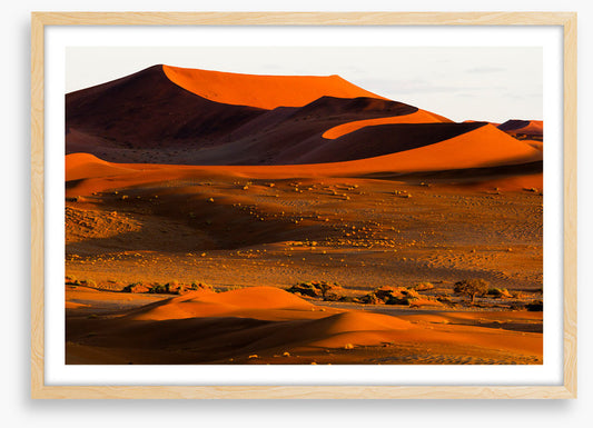 Desert
