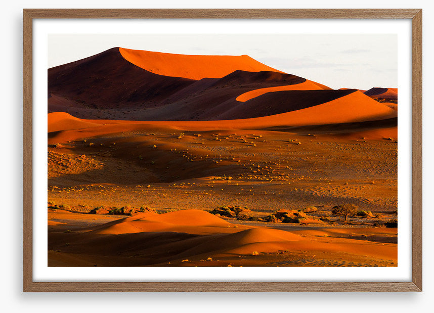 Desert