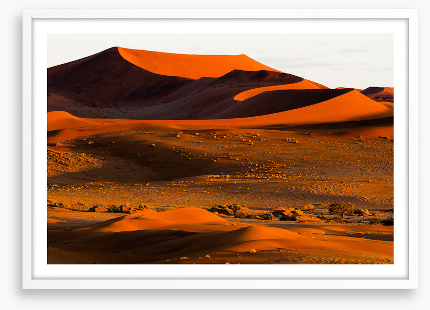 Desert