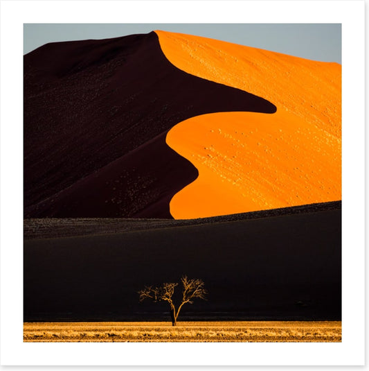 Desert