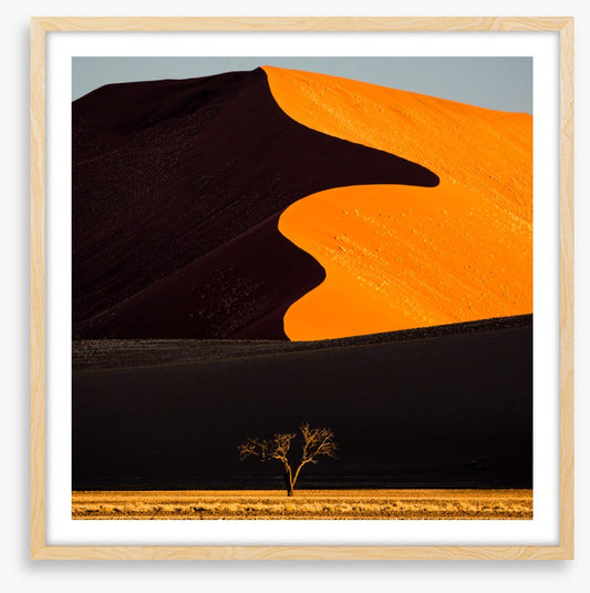 Desert