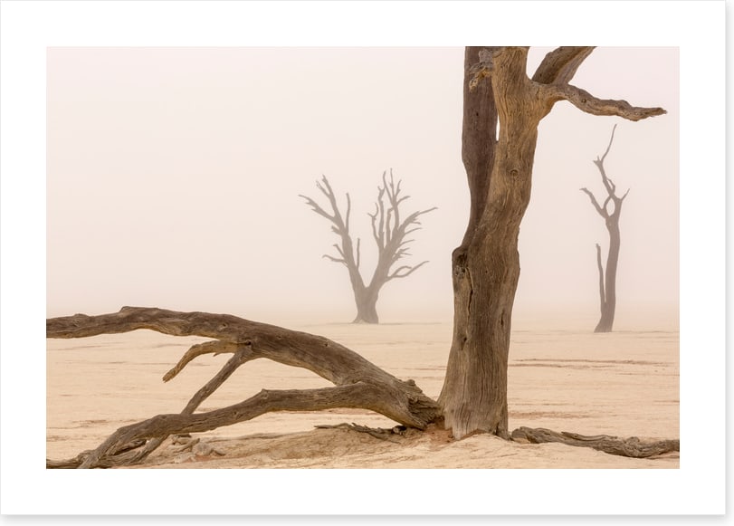 Ghosts of the desert