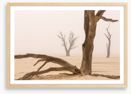 Ghosts of the desert