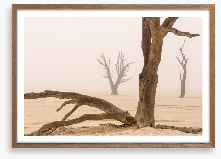 Ghosts of the desert