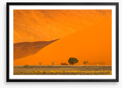 Below the dune