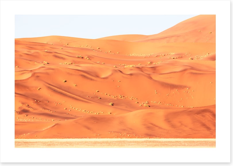 Desert