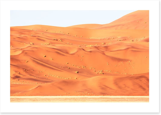 Desert