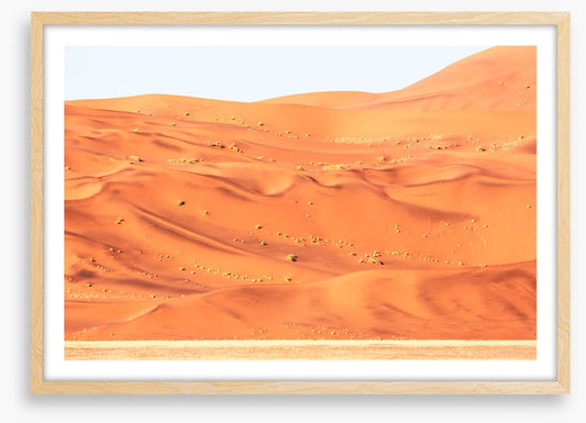 Desert