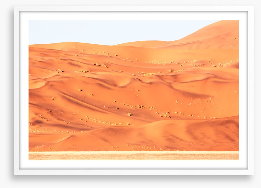 Desert