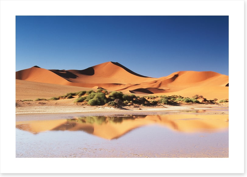 Shimmering sands