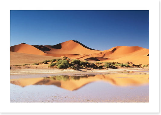 Shimmering sands