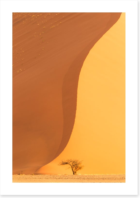 Dwarfed by the dune