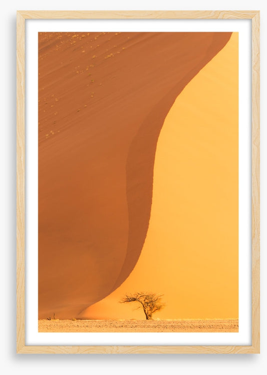 Dwarfed by the dune