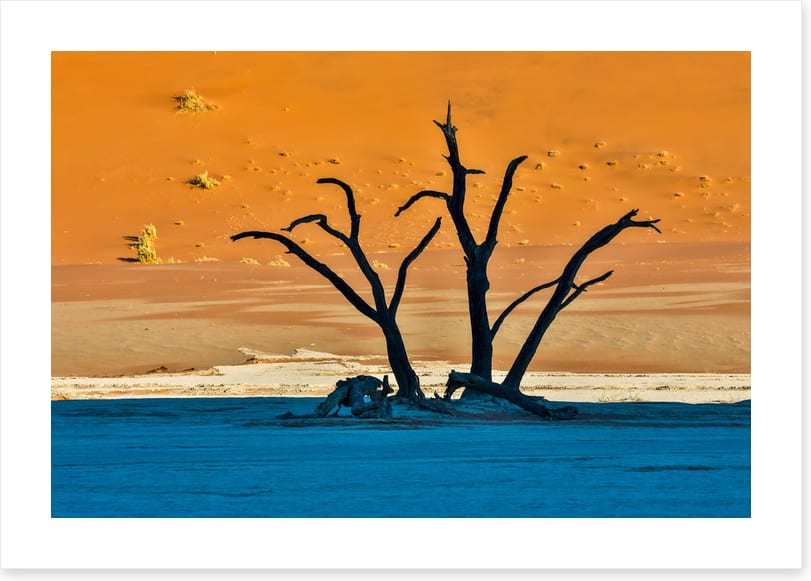 Africa