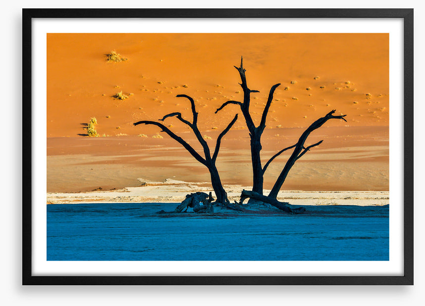 Africa