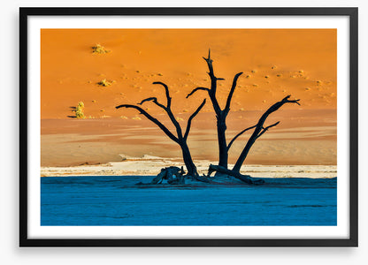 Africa