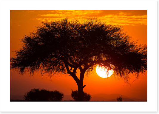 Africa
