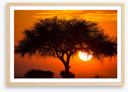Africa