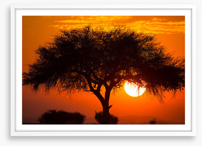 Africa