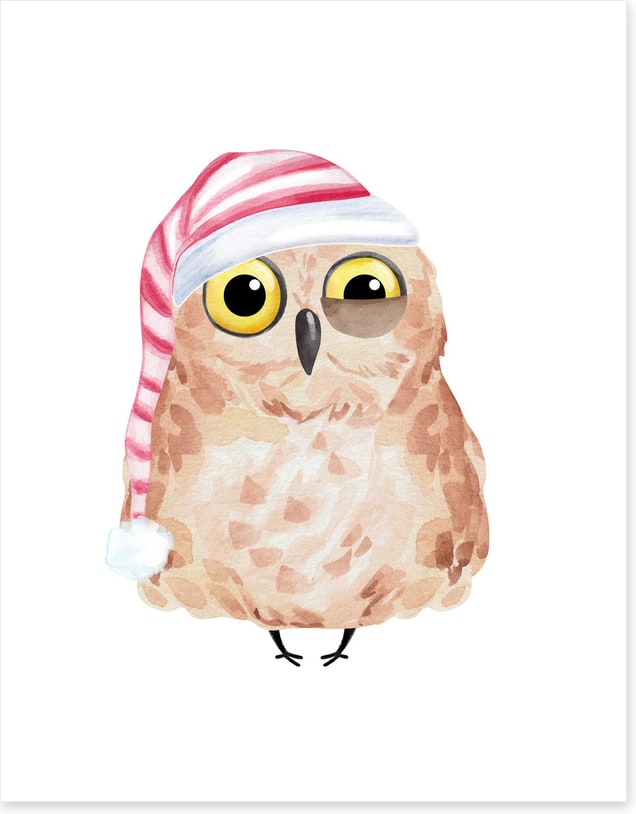 Sleepyhead owl