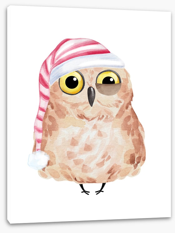 Sleepyhead owl