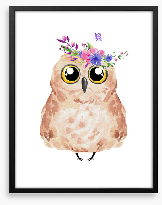 Owls