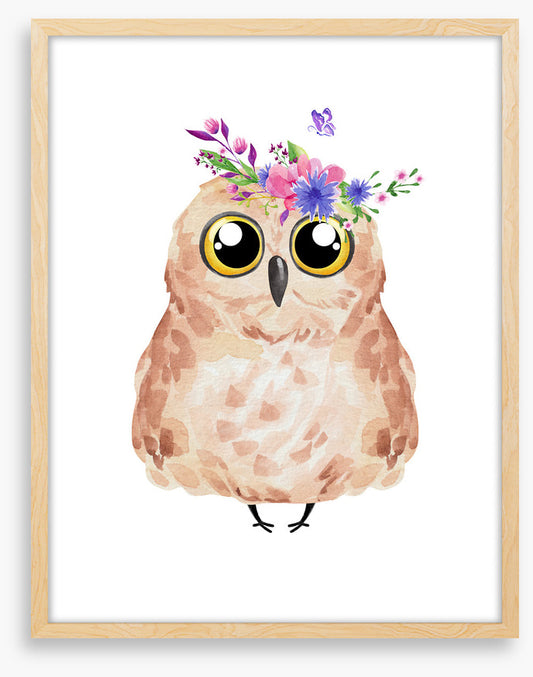 Owls