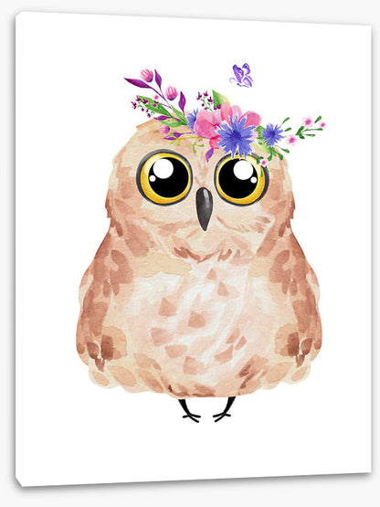Owls