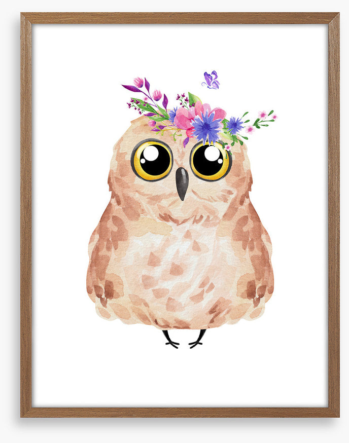Owls