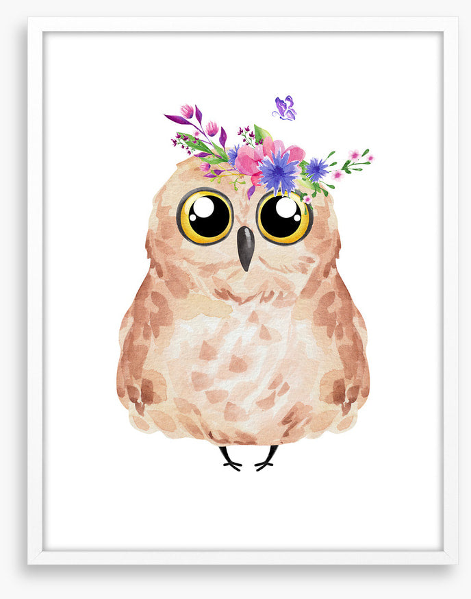 Owls