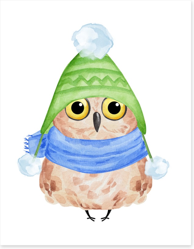 Owls