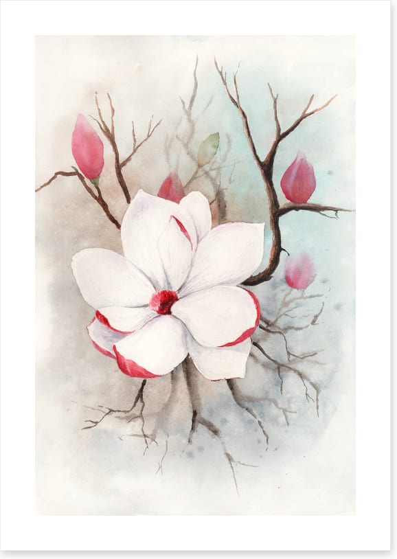 The first magnolia