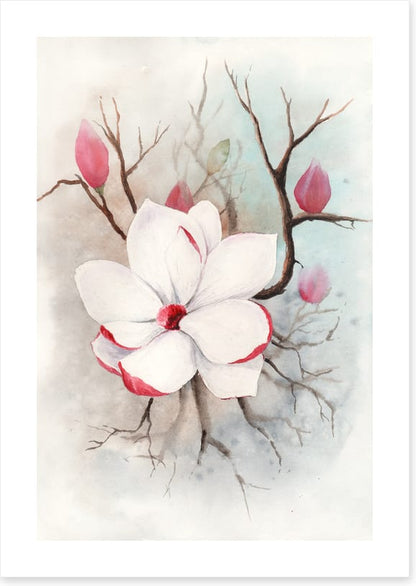 The first magnolia
