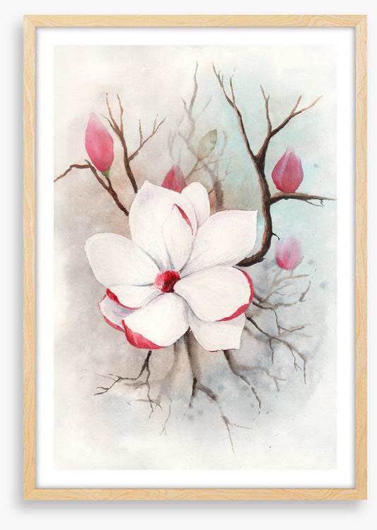 The first magnolia