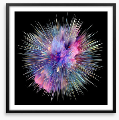 Bursting with colour 1