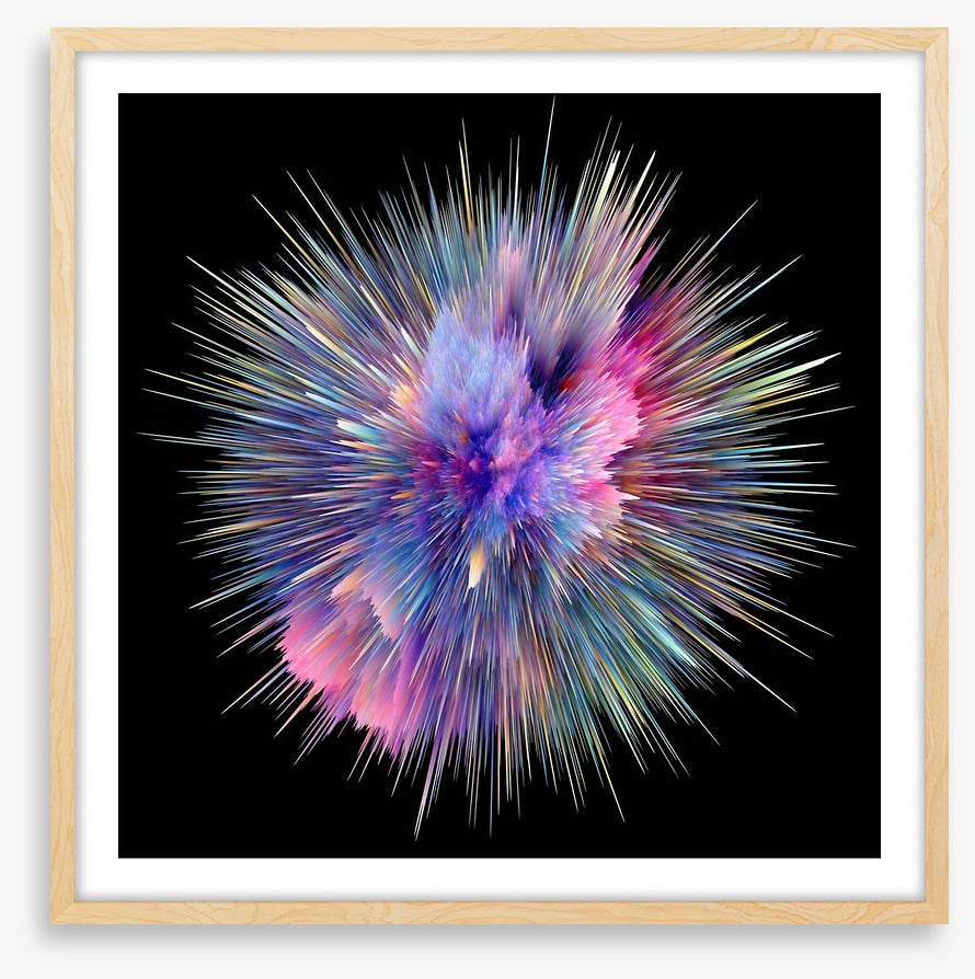 Bursting with colour 1