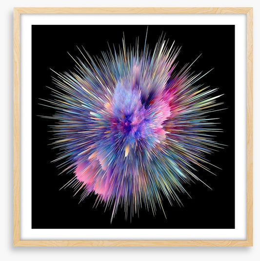 Bursting with colour 1