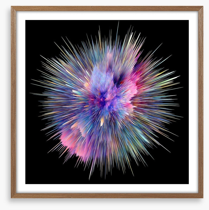 Bursting with colour 1