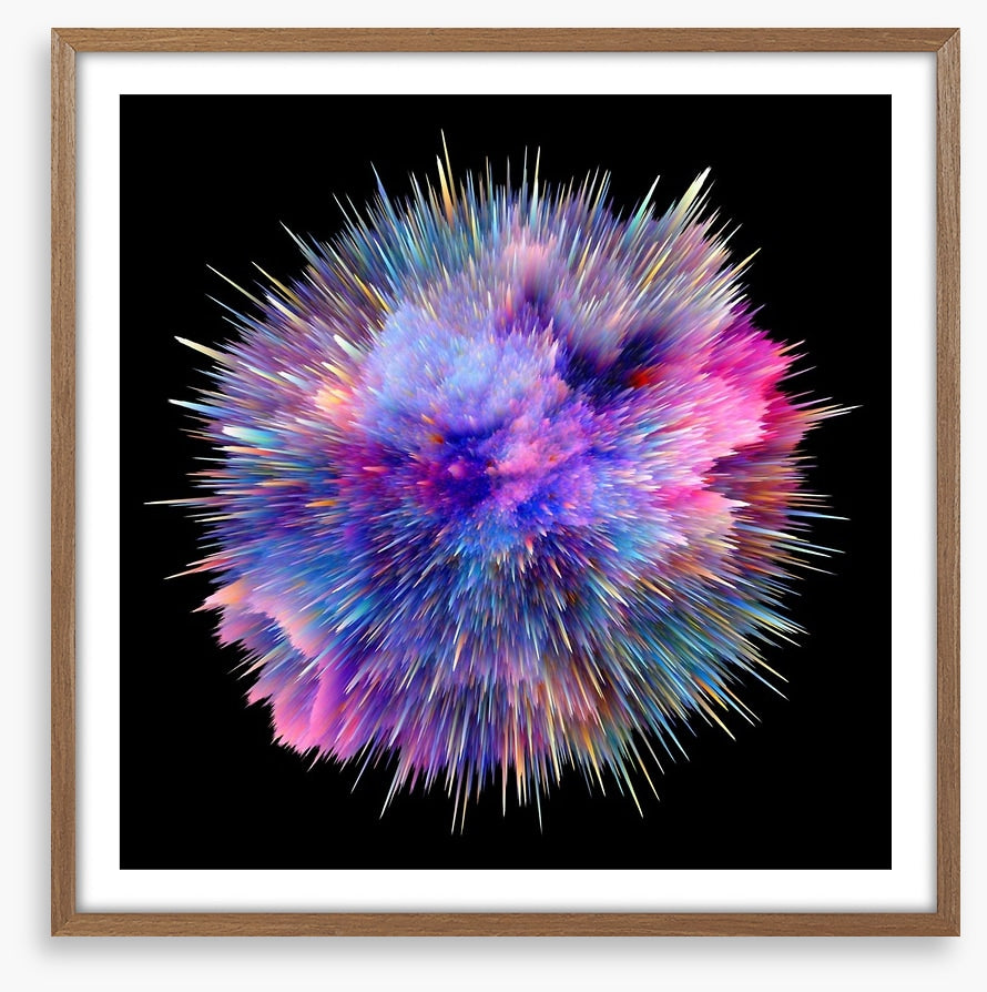 Bursting with colour 2