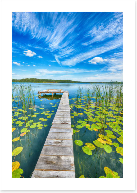 Over lily pad lake