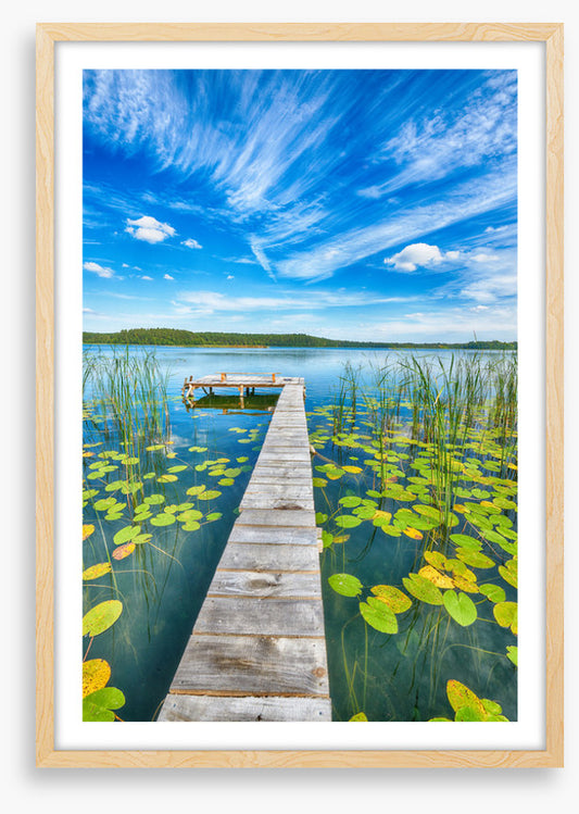 Over lily pad lake