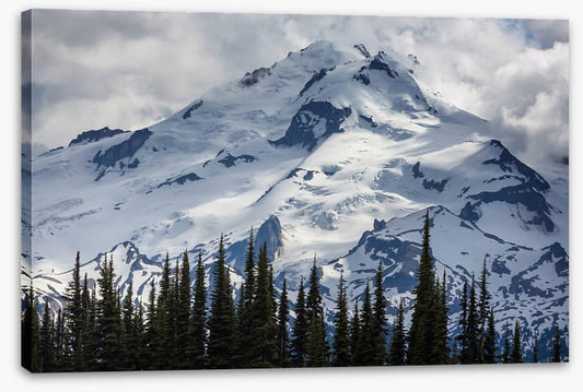 Enveloped by cloud
